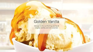 Little Trees - Vent Liquid Air Freshener